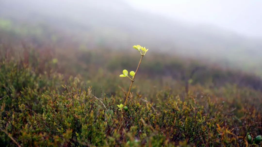 來(lái)爸媽在線(xiàn)學(xué)習(xí)后，我孩子的終生大事問(wèn)題解決了！