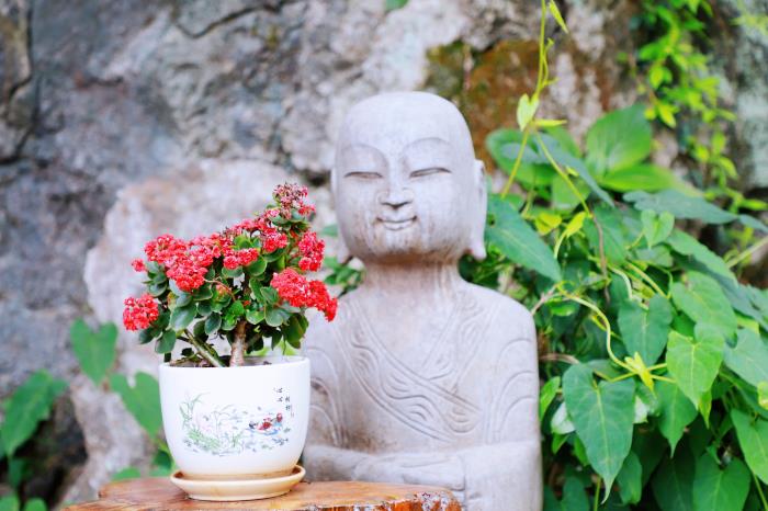 1735093148191698.jpg IMG_7513_副本.jpg