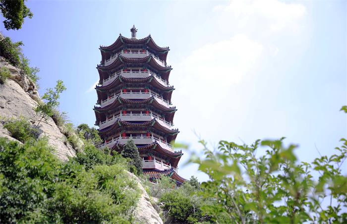 1735093324641496.jpg IMG_9252.JPG