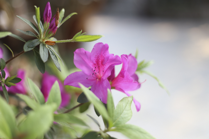 1743132354440133.jpg 1743132321956618.jpg