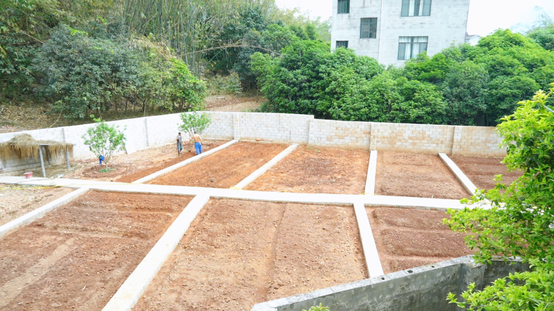 1744503277934951.png 1744503277934951.png