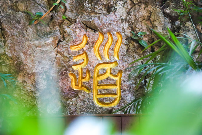 1757561308280136.jpg IMG_1386.JPG