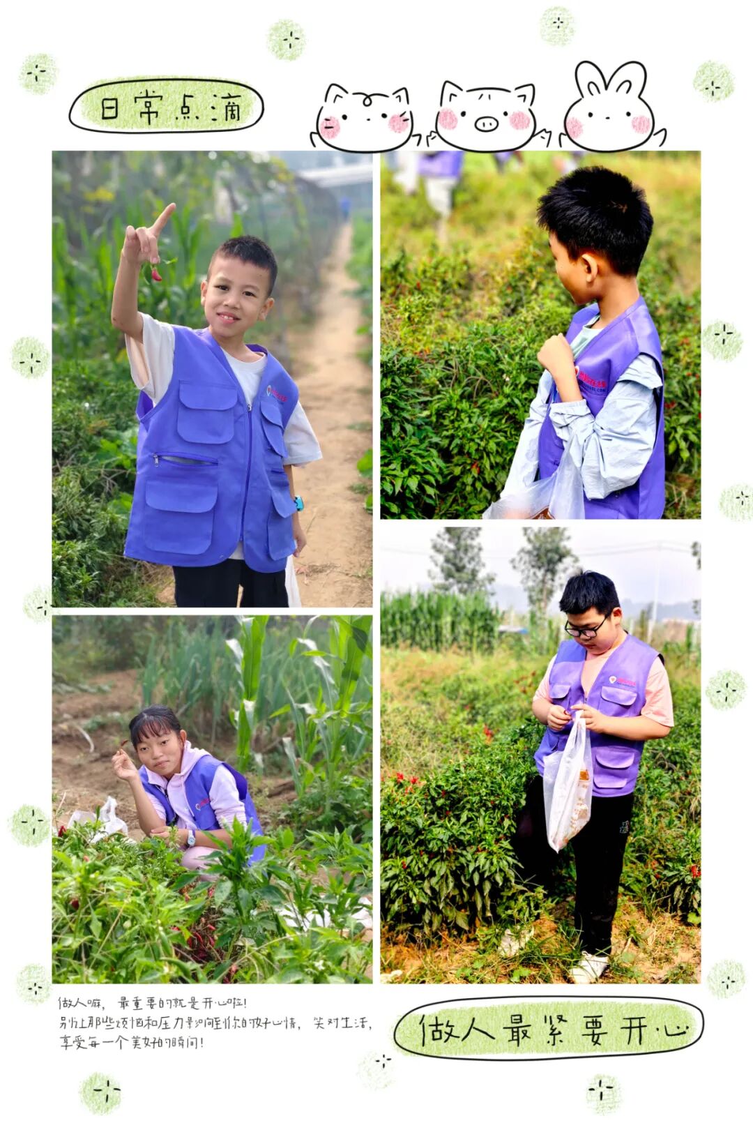 1760431557120596.jpg 1760431557120596.jpg