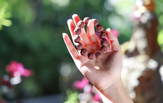 屏幕截圖 2025-12-23 144616.jpg